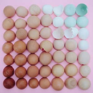 eggs-700