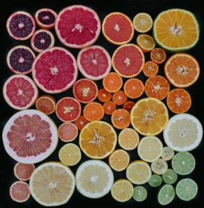 fruits-01